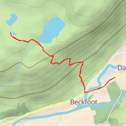 thumbnail for Sineytarn Moss