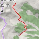 thumbnail for Foiada