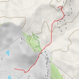 thumbnail for Serenity Swing / Tree of Life