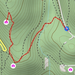 thumbnail for La lasta