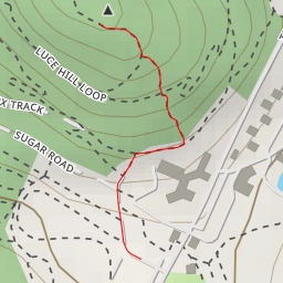 thumbnail for Luce Hill