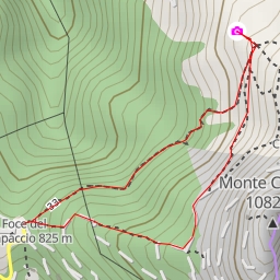 thumbnail for Lizza del Pianello - Massa