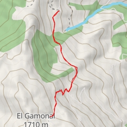 thumbnail for Toyu La Veguerina