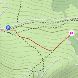 thumbnail for Nostra Signora di Palestina