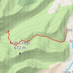 thumbnail for Altura South Trail