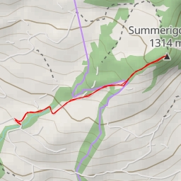 thumbnail for Summerigchopf