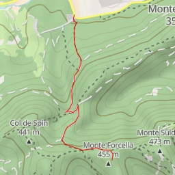 thumbnail for Monte Forcella