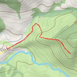 thumbnail for Palma de Cera