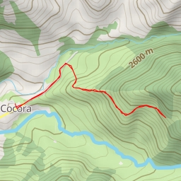 thumbnail for Palma de Cera