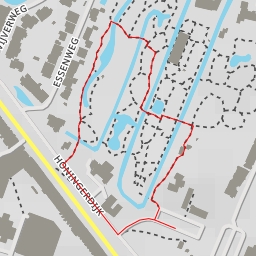 thumbnail for Arboretum Trompenburg - Honingerdijk - Rotterdam