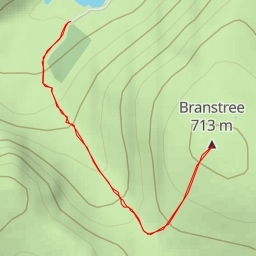 thumbnail for Branstree