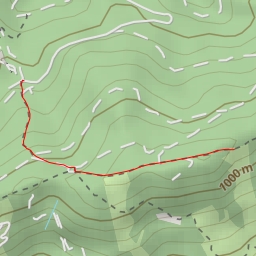 thumbnail for Widmanweg