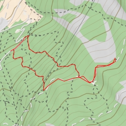 thumbnail for Fungo di Albaredo