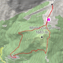 thumbnail for Testa Fornai