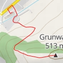 thumbnail for Grunwald