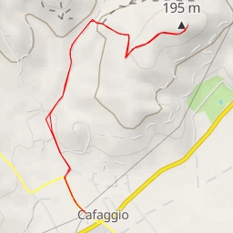 thumbnail for Monte Pitti