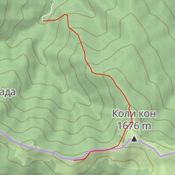 thumbnail for Котето