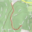 thumbnail for Steinberg