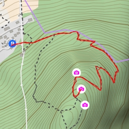 thumbnail for Belvedere