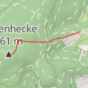 thumbnail for Birkenhecke