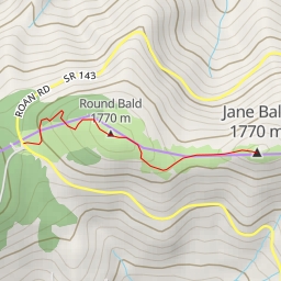 thumbnail for Jane Bald