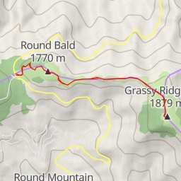 thumbnail for Grassy Ridge Bald