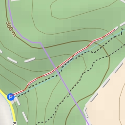 thumbnail for Buchenhof - Buchenhof