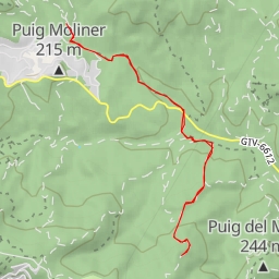 thumbnail for Puig Rodó