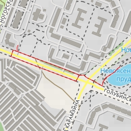 thumbnail for Новоясеневские пруды