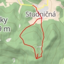 thumbnail for Radičiná