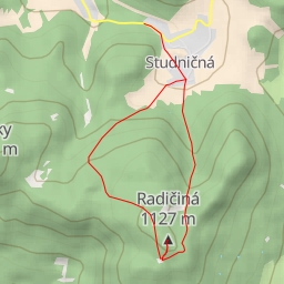thumbnail for Radičiná