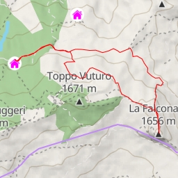 thumbnail for La Falconara