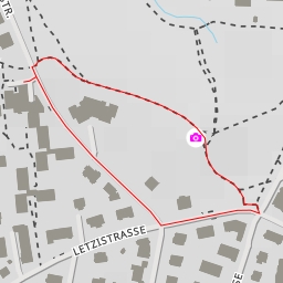 thumbnail for Monte Diggelmann