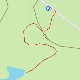 thumbnail for Marjal birds - Autopista del Mediterráneo