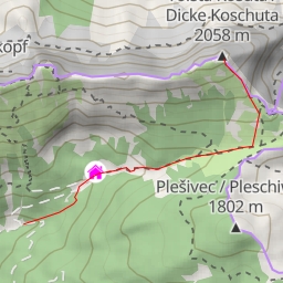 thumbnail for Tolsta Košuta / Dicke Koschuta