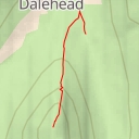 thumbnail for The Nab