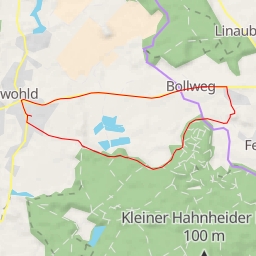 thumbnail for Schulwald - Schulwald