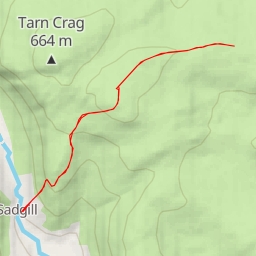 thumbnail for Lawyers Brow