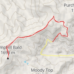 thumbnail for Hemphill Bald