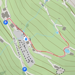 thumbnail for Graugans - Wildparkweg