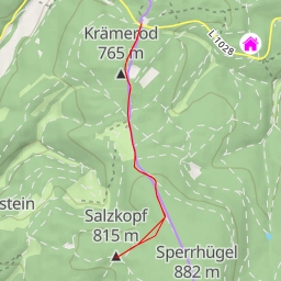 thumbnail for Salzkopf