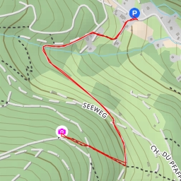 thumbnail for Bichtstein