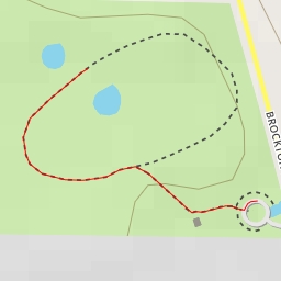 thumbnail for David Koch Avenue