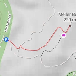 thumbnail for Meller Berg