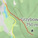 thumbnail for Singletrack Doppler Sekcja 21 - Singletrack Doppler Sekcja 21