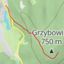 thumbnail for Singletrack Doppler Sekcja 24 - Singletrack Doppler Sekcja 24