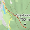 thumbnail for Singletrack Doppler Sekcja 21 - Singletrack Doppler Sekcja 21