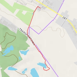 thumbnail for Zielone