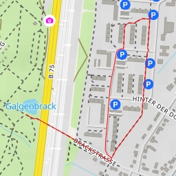 thumbnail for Galgenbrack