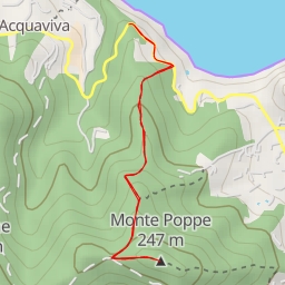 thumbnail for Monte Poppe